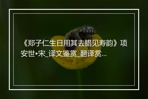 《郑子仁生日用其去腊见寿韵》项安世•宋_译文鉴赏_翻译赏析