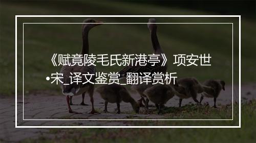 《赋竟陵毛氏新港亭》项安世•宋_译文鉴赏_翻译赏析