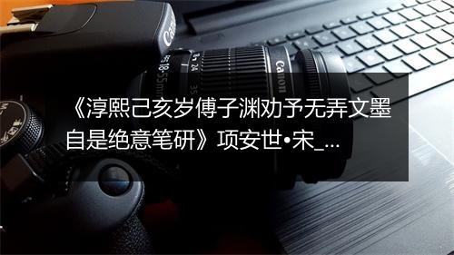 《淳熙己亥岁傅子渊劝予无弄文墨自是绝意笔研》项安世•宋_译文鉴赏_翻译赏析