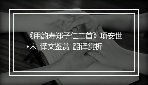 《用韵寿郑子仁二首》项安世•宋_译文鉴赏_翻译赏析