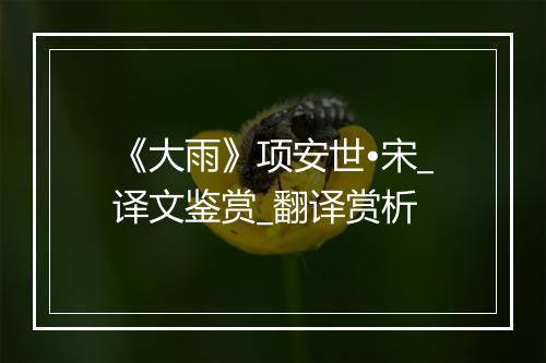 《大雨》项安世•宋_译文鉴赏_翻译赏析