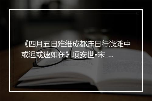 《四月五日难维成都连日行浅滩中或迟或速如在》项安世•宋_译文鉴赏_翻译赏析