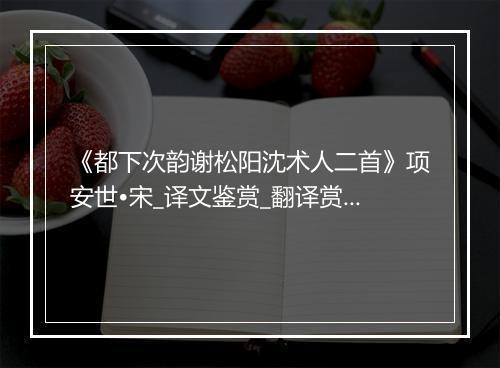 《都下次韵谢松阳沈术人二首》项安世•宋_译文鉴赏_翻译赏析