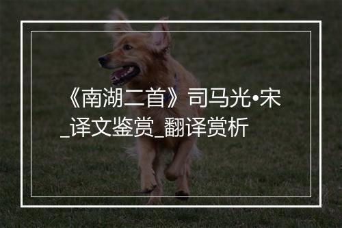 《南湖二首》司马光•宋_译文鉴赏_翻译赏析