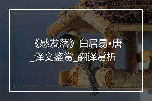 《感发落》白居易•唐_译文鉴赏_翻译赏析