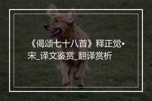 《偈颂七十八首》释正觉•宋_译文鉴赏_翻译赏析