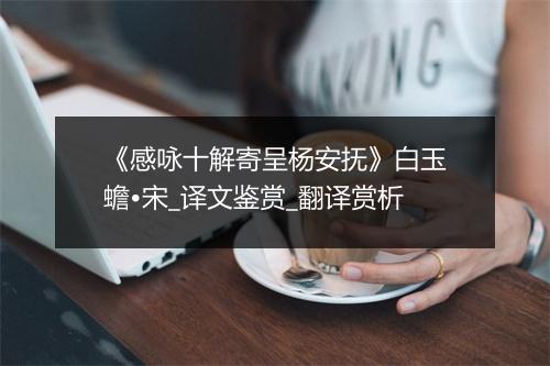 《感咏十解寄呈杨安抚》白玉蟾•宋_译文鉴赏_翻译赏析