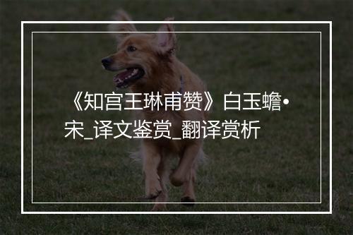 《知宫王琳甫赞》白玉蟾•宋_译文鉴赏_翻译赏析