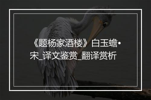 《题杨家酒楼》白玉蟾•宋_译文鉴赏_翻译赏析