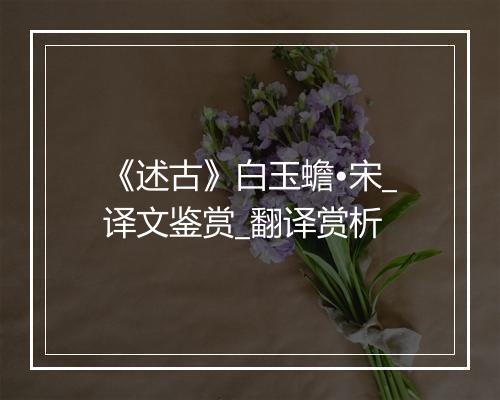 《述古》白玉蟾•宋_译文鉴赏_翻译赏析