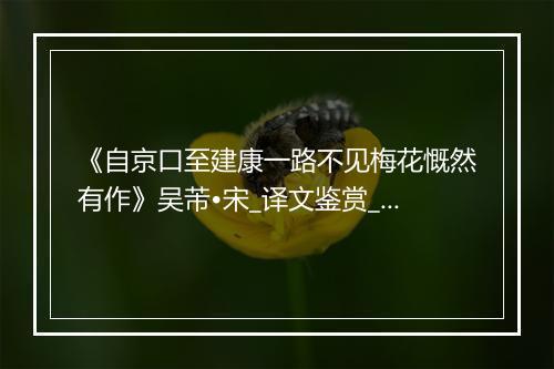 《自京口至建康一路不见梅花慨然有作》吴芾•宋_译文鉴赏_翻译赏析