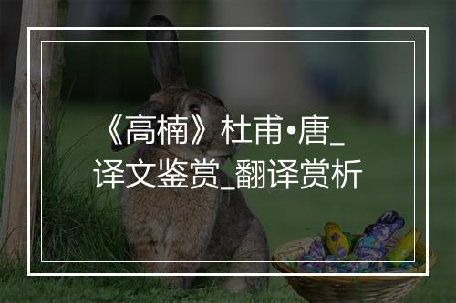 《高楠》杜甫•唐_译文鉴赏_翻译赏析