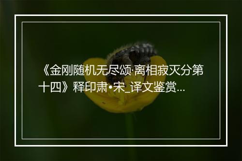 《金刚随机无尽颂·离相寂灭分第十四》释印肃•宋_译文鉴赏_翻译赏析