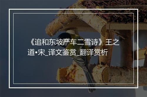 《追和东坡严车二雪诗》王之道•宋_译文鉴赏_翻译赏析