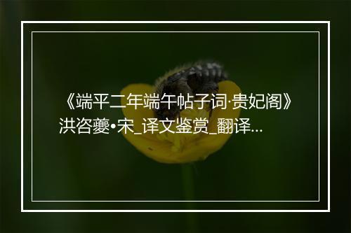 《端平二年端午帖子词·贵妃阁》洪咨夔•宋_译文鉴赏_翻译赏析