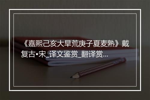 《嘉熙己亥大旱荒庚子夏麦熟》戴复古•宋_译文鉴赏_翻译赏析