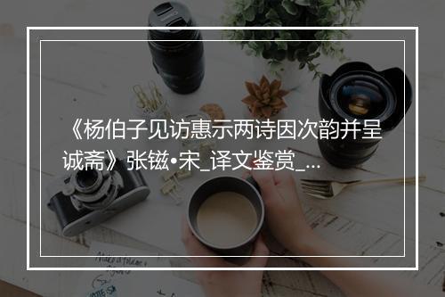 《杨伯子见访惠示两诗因次韵并呈诚斋》张镃•宋_译文鉴赏_翻译赏析