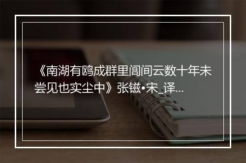 《南湖有鸥成群里闾间云数十年未尝见也实尘中》张镃•宋_译文鉴赏_翻译赏析