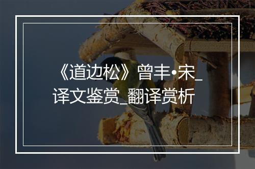 《道边松》曾丰•宋_译文鉴赏_翻译赏析