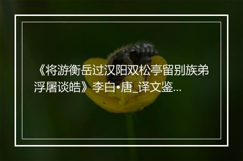 《将游衡岳过汉阳双松亭留别族弟浮屠谈皓》李白•唐_译文鉴赏_翻译赏析