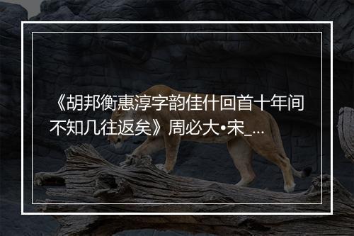 《胡邦衡惠淳字韵佳什回首十年间不知几往返矣》周必大•宋_译文鉴赏_翻译赏析