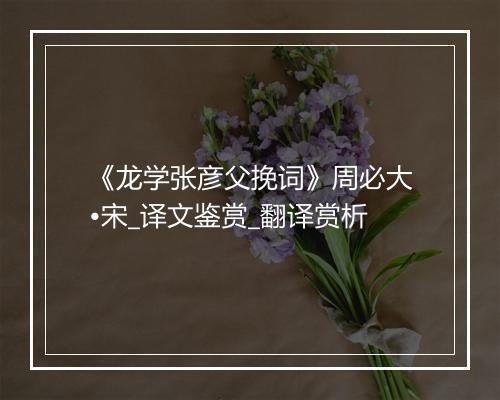 《龙学张彦父挽词》周必大•宋_译文鉴赏_翻译赏析