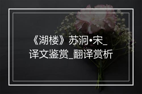 《湖楼》苏泂•宋_译文鉴赏_翻译赏析