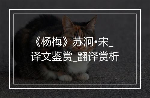 《杨梅》苏泂•宋_译文鉴赏_翻译赏析