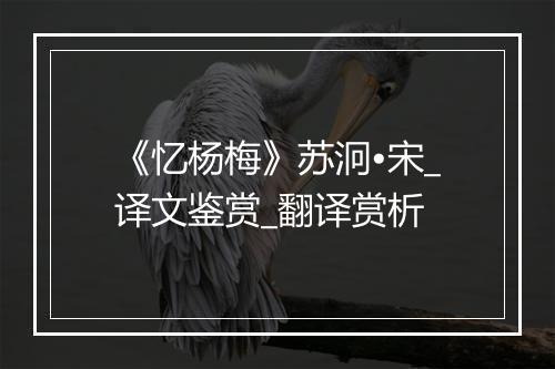 《忆杨梅》苏泂•宋_译文鉴赏_翻译赏析