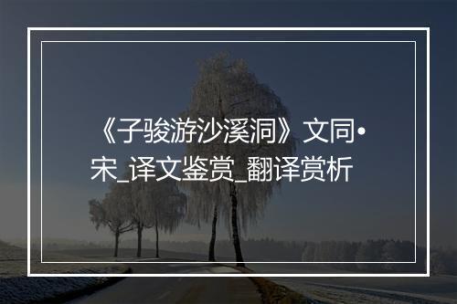 《子骏游沙溪洞》文同•宋_译文鉴赏_翻译赏析