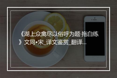 《湖上众禽尽以俗呼为题·拖白练》文同•宋_译文鉴赏_翻译赏析