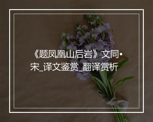 《题凤凰山后岩》文同•宋_译文鉴赏_翻译赏析