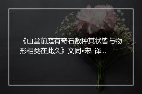 《山堂前庭有奇石数种其状皆与物形相类在此久》文同•宋_译文鉴赏_翻译赏析