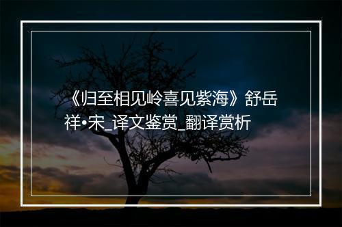 《归至相见岭喜见紫海》舒岳祥•宋_译文鉴赏_翻译赏析