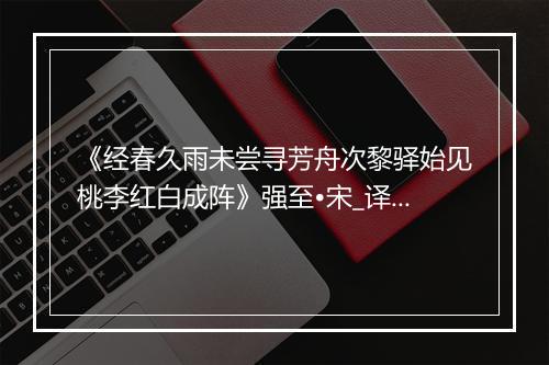 《经春久雨未尝寻芳舟次黎驿始见桃李红白成阵》强至•宋_译文鉴赏_翻译赏析