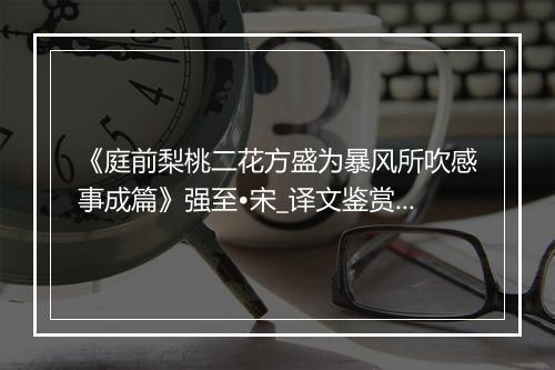 《庭前梨桃二花方盛为暴风所吹感事成篇》强至•宋_译文鉴赏_翻译赏析