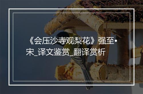 《会压沙寺观梨花》强至•宋_译文鉴赏_翻译赏析