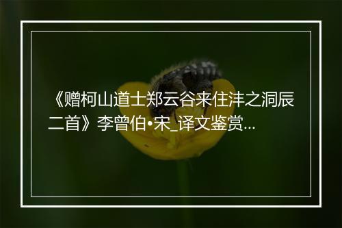 《赠柯山道士郑云谷来住沣之洞辰二首》李曾伯•宋_译文鉴赏_翻译赏析