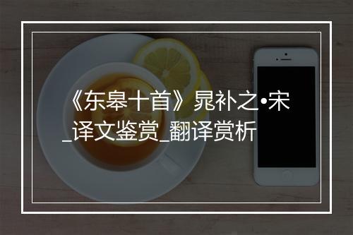 《东皋十首》晁补之•宋_译文鉴赏_翻译赏析