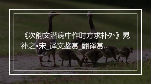 《次韵文潜病中作时方求补外》晁补之•宋_译文鉴赏_翻译赏析