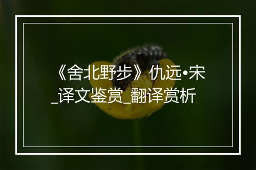 《舍北野步》仇远•宋_译文鉴赏_翻译赏析