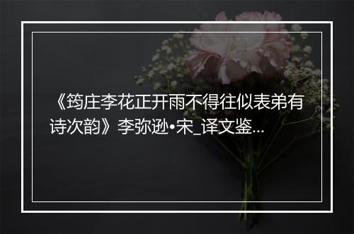 《筠庄李花正开雨不得往似表弟有诗次韵》李弥逊•宋_译文鉴赏_翻译赏析