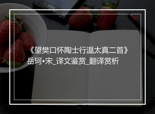 《望樊口怀陶士行温太真二首》岳珂•宋_译文鉴赏_翻译赏析