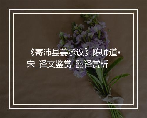 《寄沛县姜承议》陈师道•宋_译文鉴赏_翻译赏析