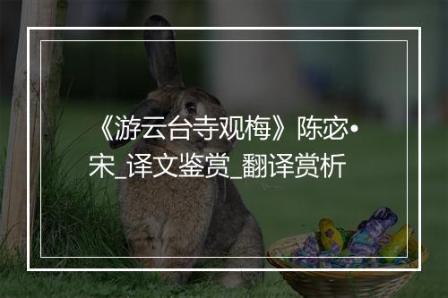 《游云台寺观梅》陈宓•宋_译文鉴赏_翻译赏析