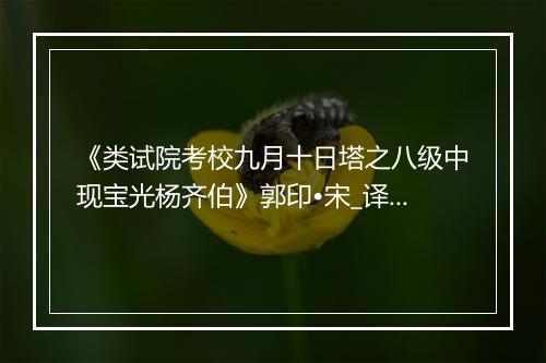 《类试院考校九月十日塔之八级中现宝光杨齐伯》郭印•宋_译文鉴赏_翻译赏析