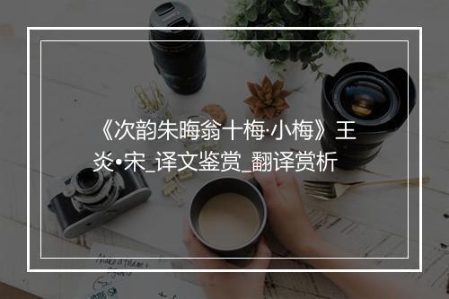 《次韵朱晦翁十梅·小梅》王炎•宋_译文鉴赏_翻译赏析