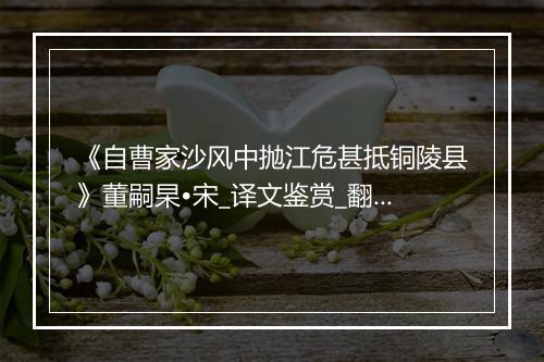 《自曹家沙风中抛江危甚抵铜陵县》董嗣杲•宋_译文鉴赏_翻译赏析