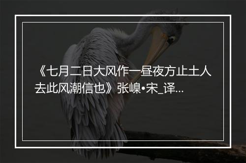 《七月二日大风作一昼夜方止土人去此风潮信也》张嵲•宋_译文鉴赏_翻译赏析