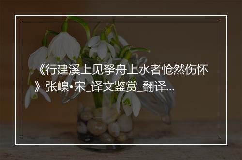 《行建溪上见拏舟上水者怆然伤怀》张嵲•宋_译文鉴赏_翻译赏析